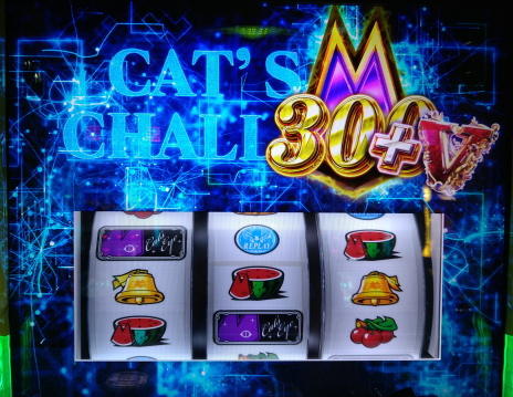 キャッツチャレンジ300G乗せ