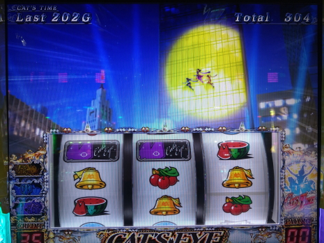 キャッツアイ　リーチ目画像