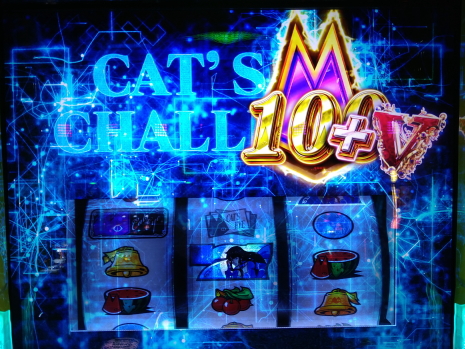 Sキャッツアイ　キャッツチャレンジで100G乗せ