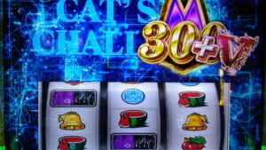 キャッツチャレンジ300G乗せ