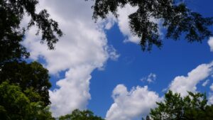 夏の風景